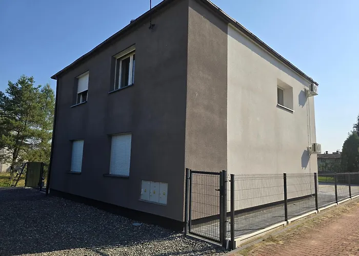 Maestro One * טיצ'י